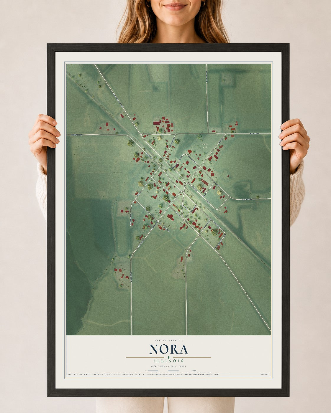 Map of Nora, Illinois, 24 x 36 inch print in a black wood frame