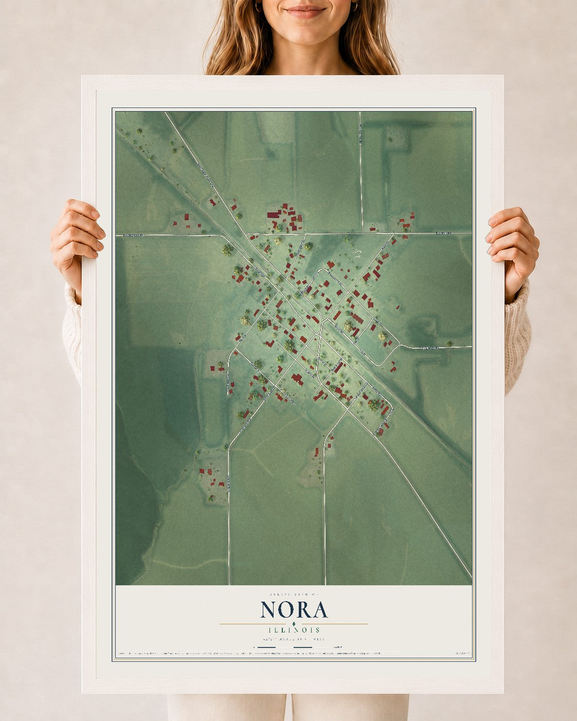 Map of Nora, Illinois, 24 x 36 inch print in a white wood frame