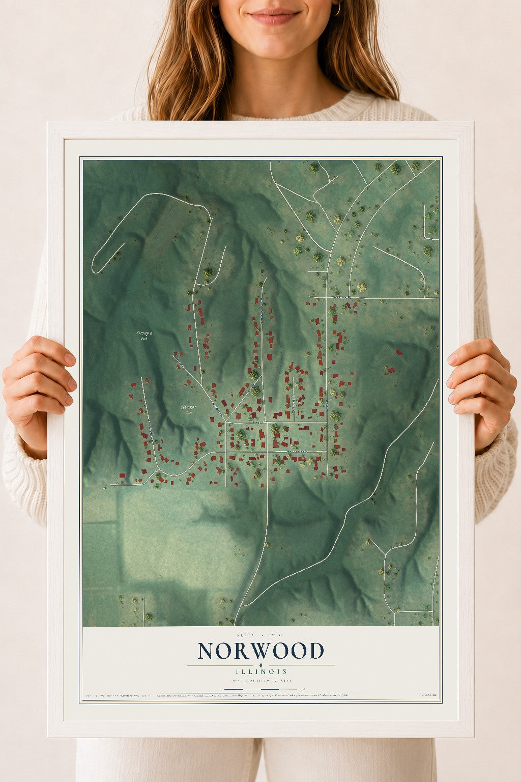 Map of Norwood, Illinois, 18 x 24 inch print in a white wood frame