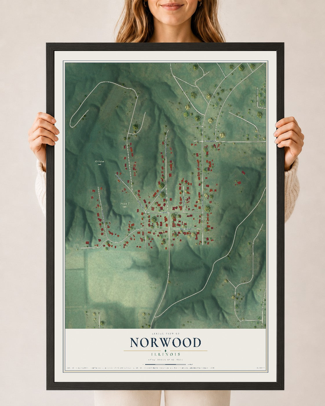 Map of Norwood, Illinois, 24 x 36 inch print in a black wood frame