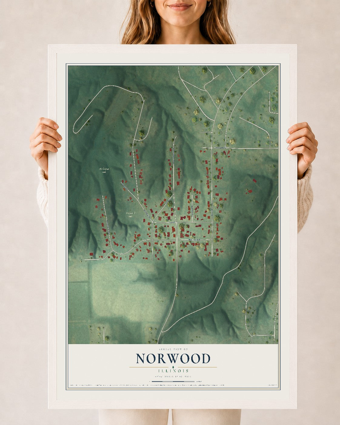 Map of Norwood, Illinois, 24 x 36 inch print in a white wood frame