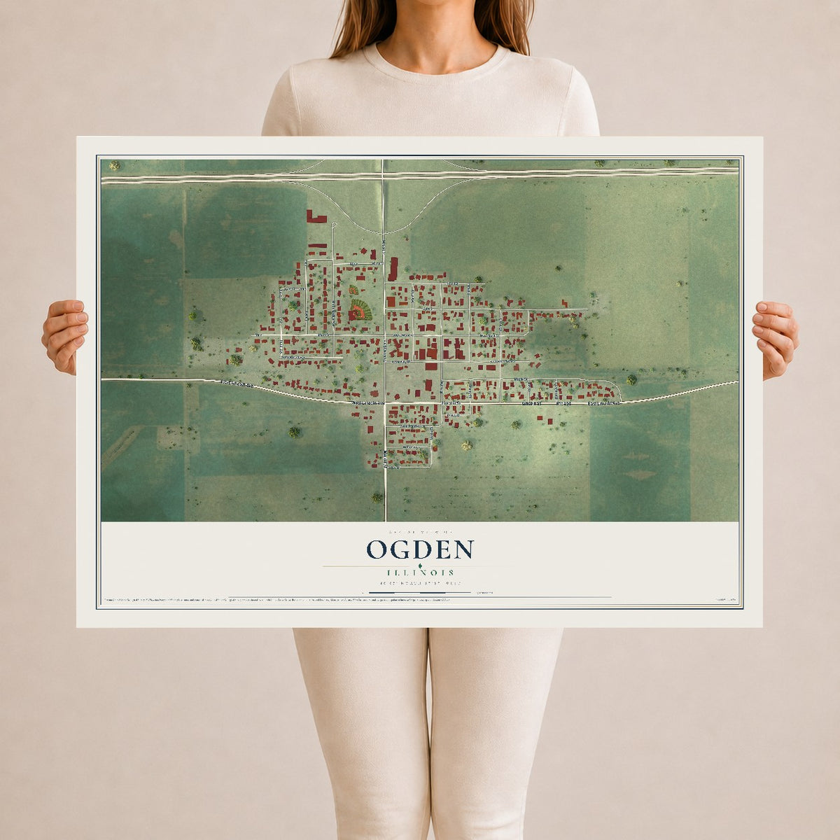 Map of Ogden, Illinois, 24 x 36 inch unframed archival matte print