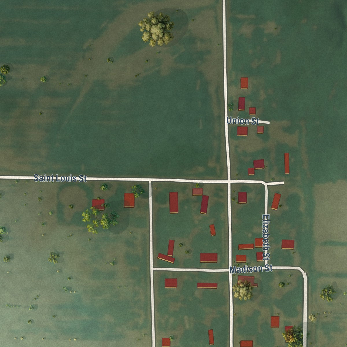 Second close-up of the map of Old Ripley, Illinois print showing more streets and buildings