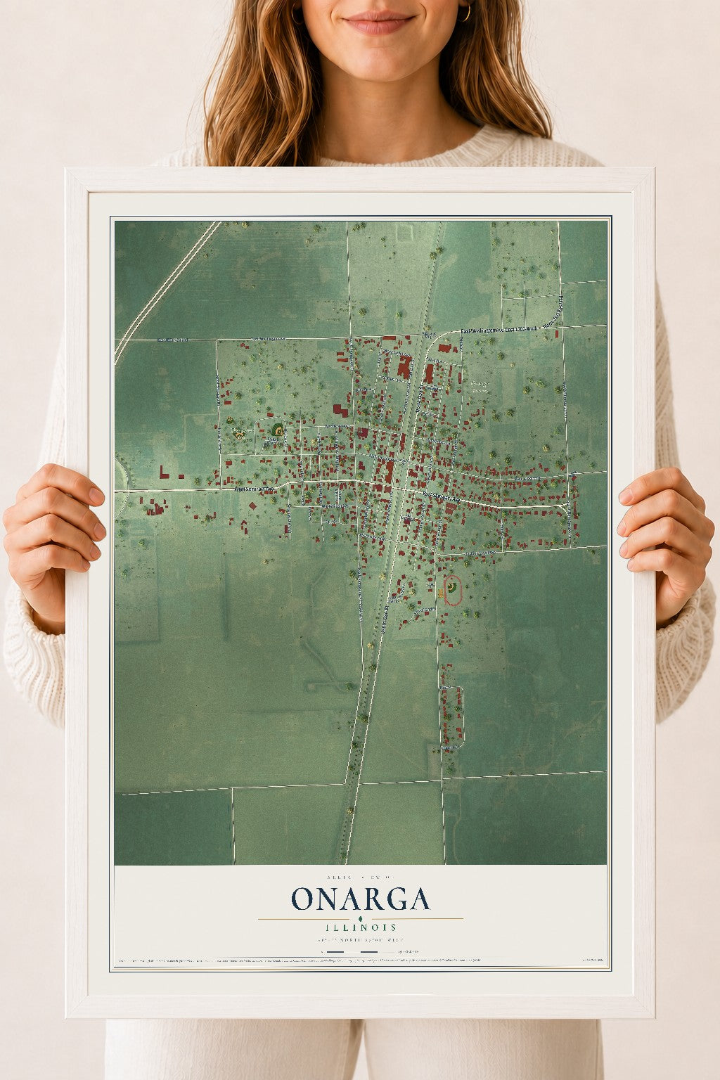 Map of Onarga, Illinois, 18 x 24 inch print in a white wood frame