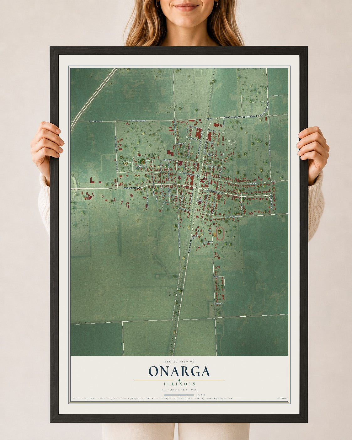 Map of Onarga, Illinois, 24 x 36 inch print in a black wood frame