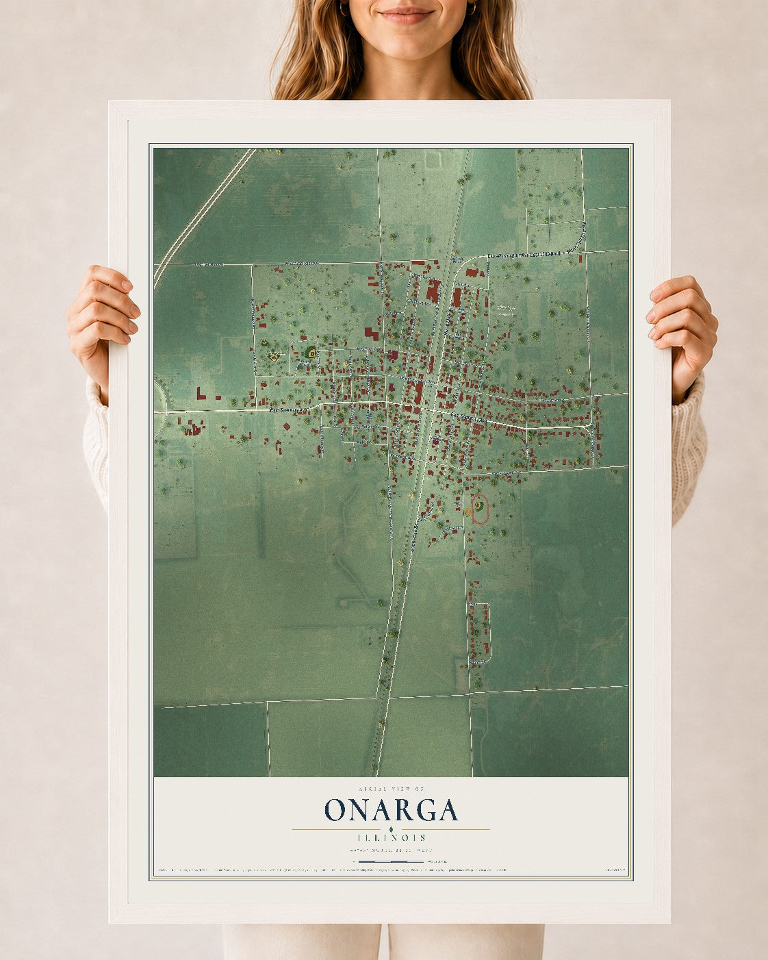 Map of Onarga, Illinois, 24 x 36 inch print in a white wood frame