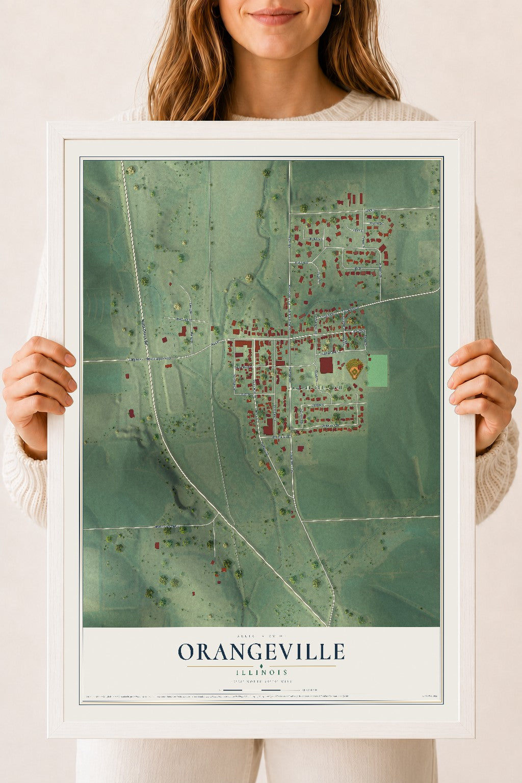 Map of Orangeville, Illinois, 18 x 24 inch print in a white wood frame