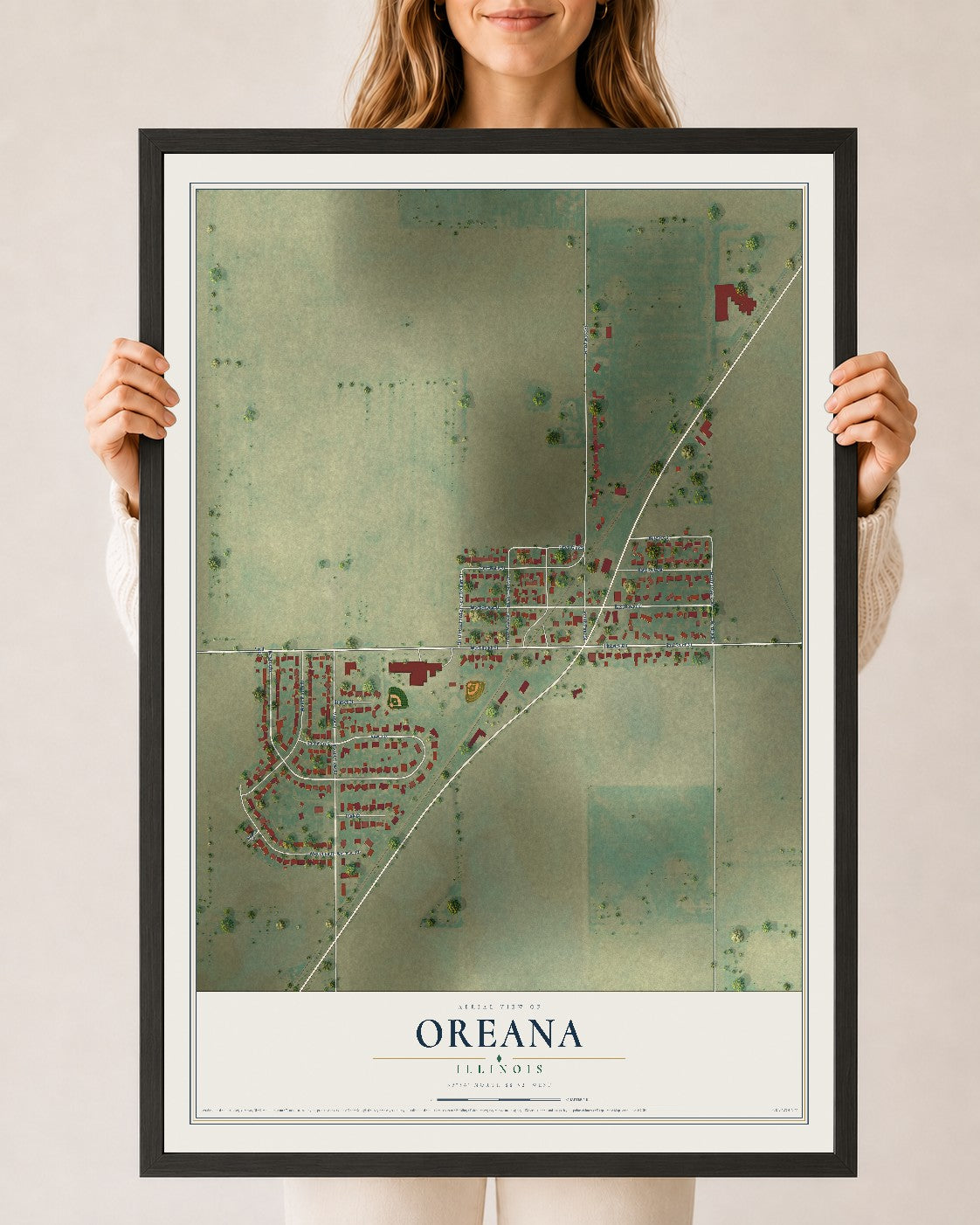 Map of Oreana, Illinois, 24 x 36 inch print in a black wood frame
