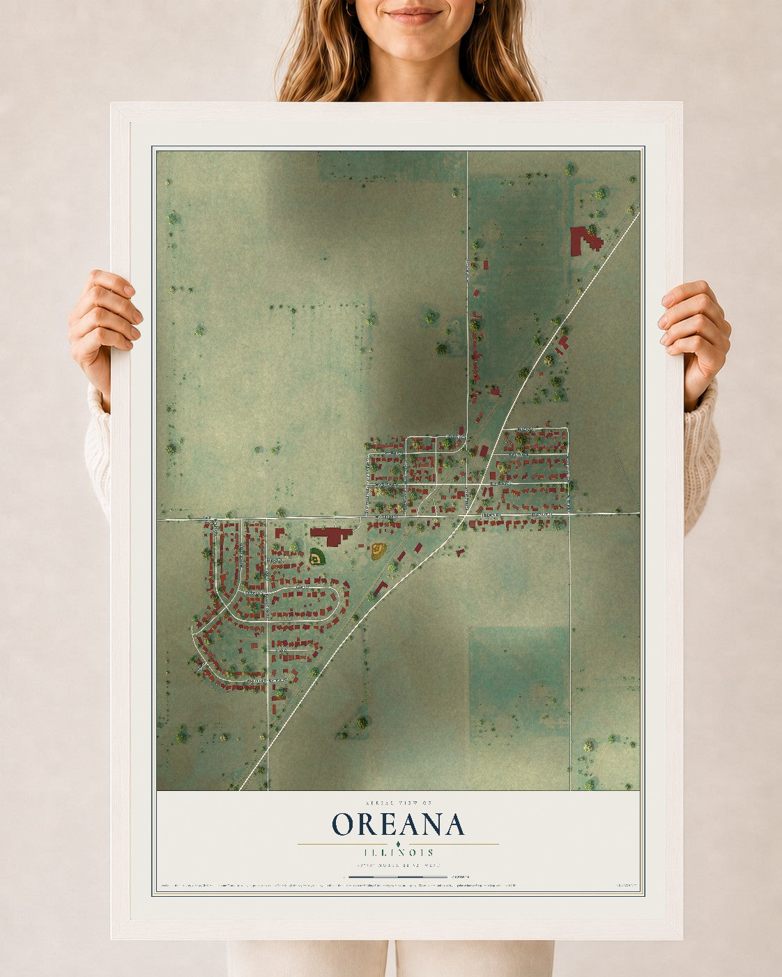 Map of Oreana, Illinois, 24 x 36 inch print in a white wood frame