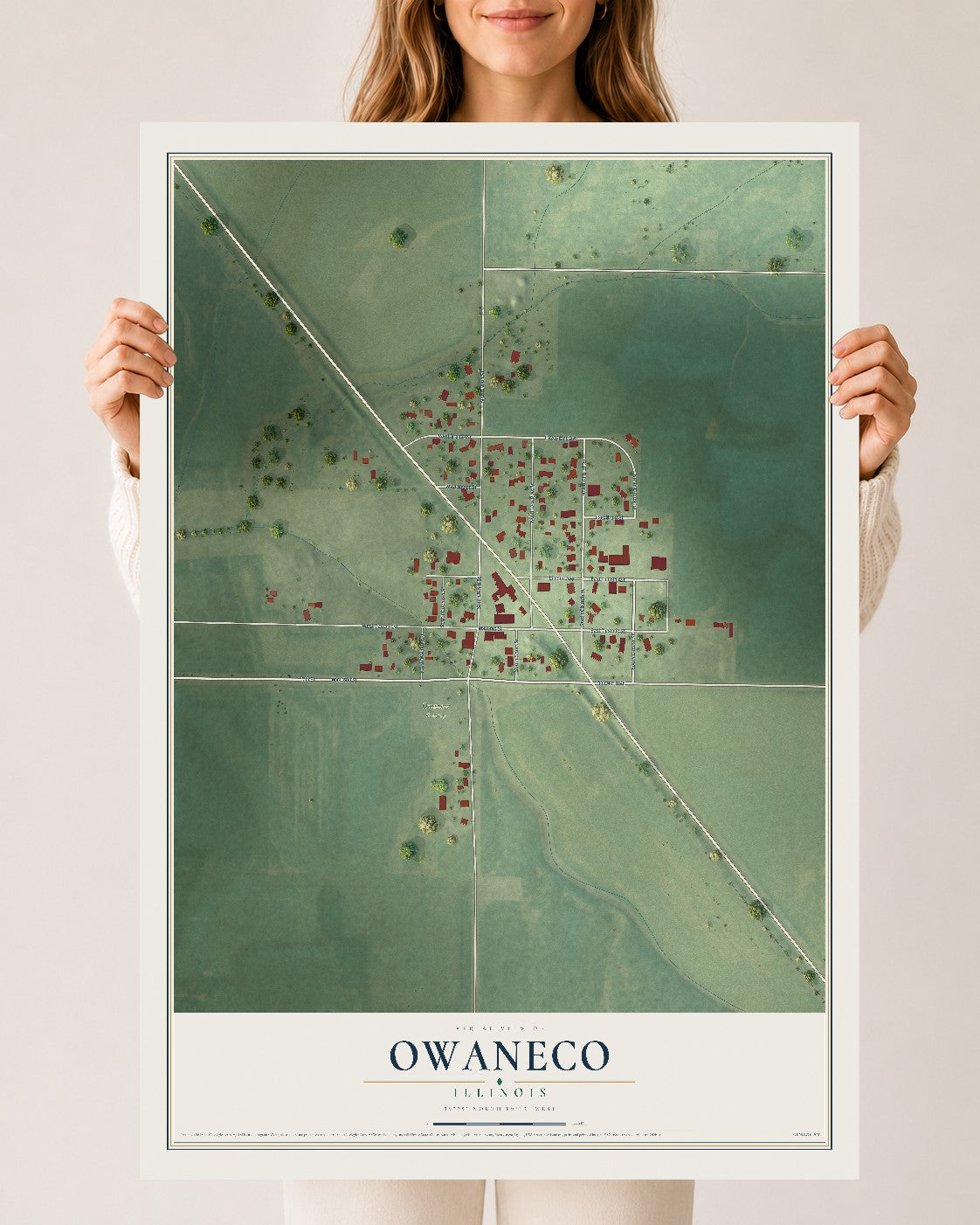 Map of Owaneco, Illinois, 24 x 36 inch unframed archival matte print