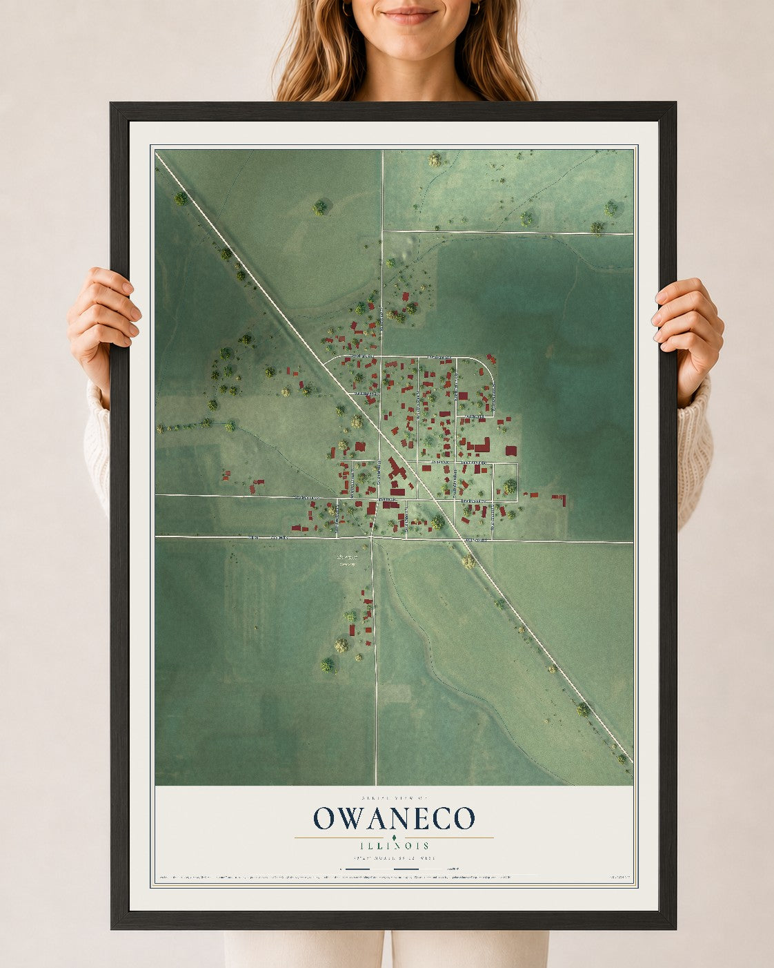 Map of Owaneco, Illinois, 24 x 36 inch print in a black wood frame