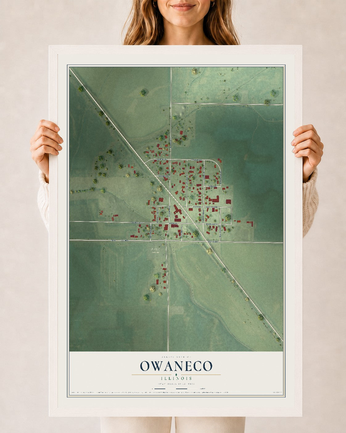 Map of Owaneco, Illinois, 24 x 36 inch print in a white wood frame