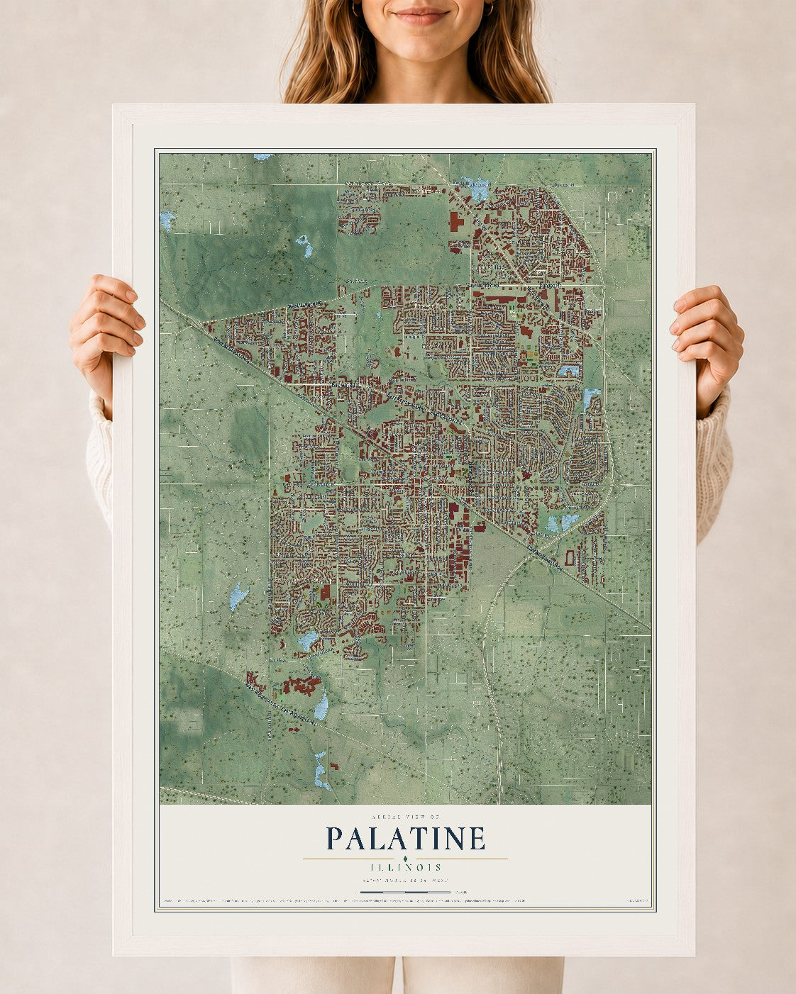 Map of Palatine, Illinois, 24 x 36 inch print in a white wood frame
