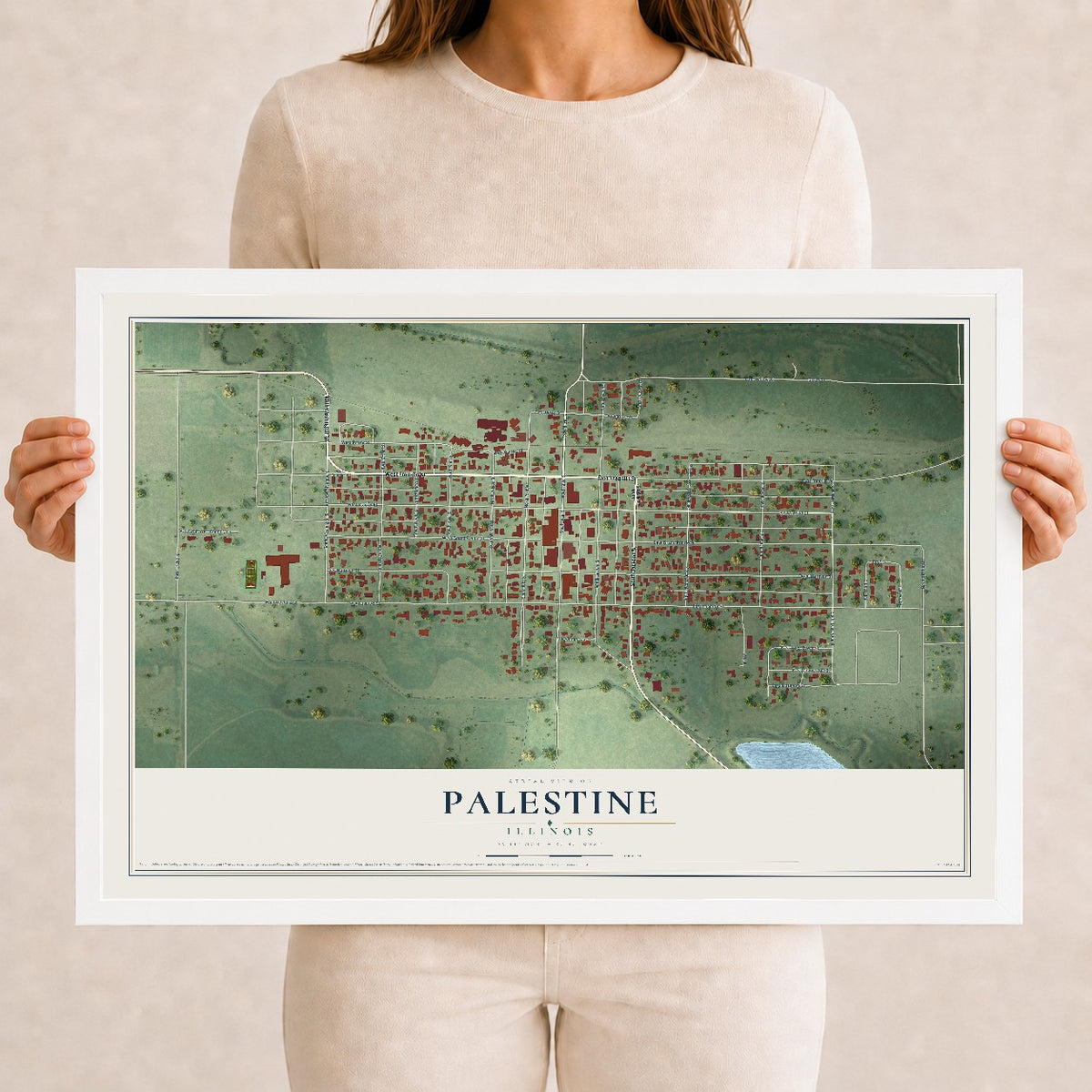 Map of Palestine, Illinois, 12 x 18 inch print in a white wood frame