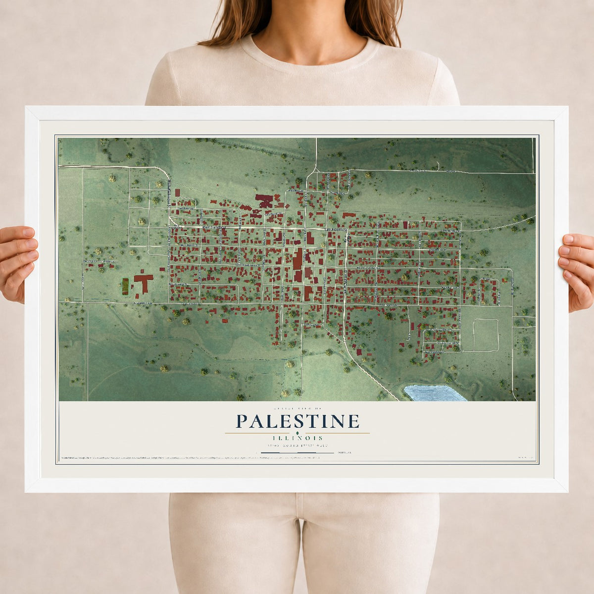 Map of Palestine, Illinois, 18 x 24 inch print in a white wood frame