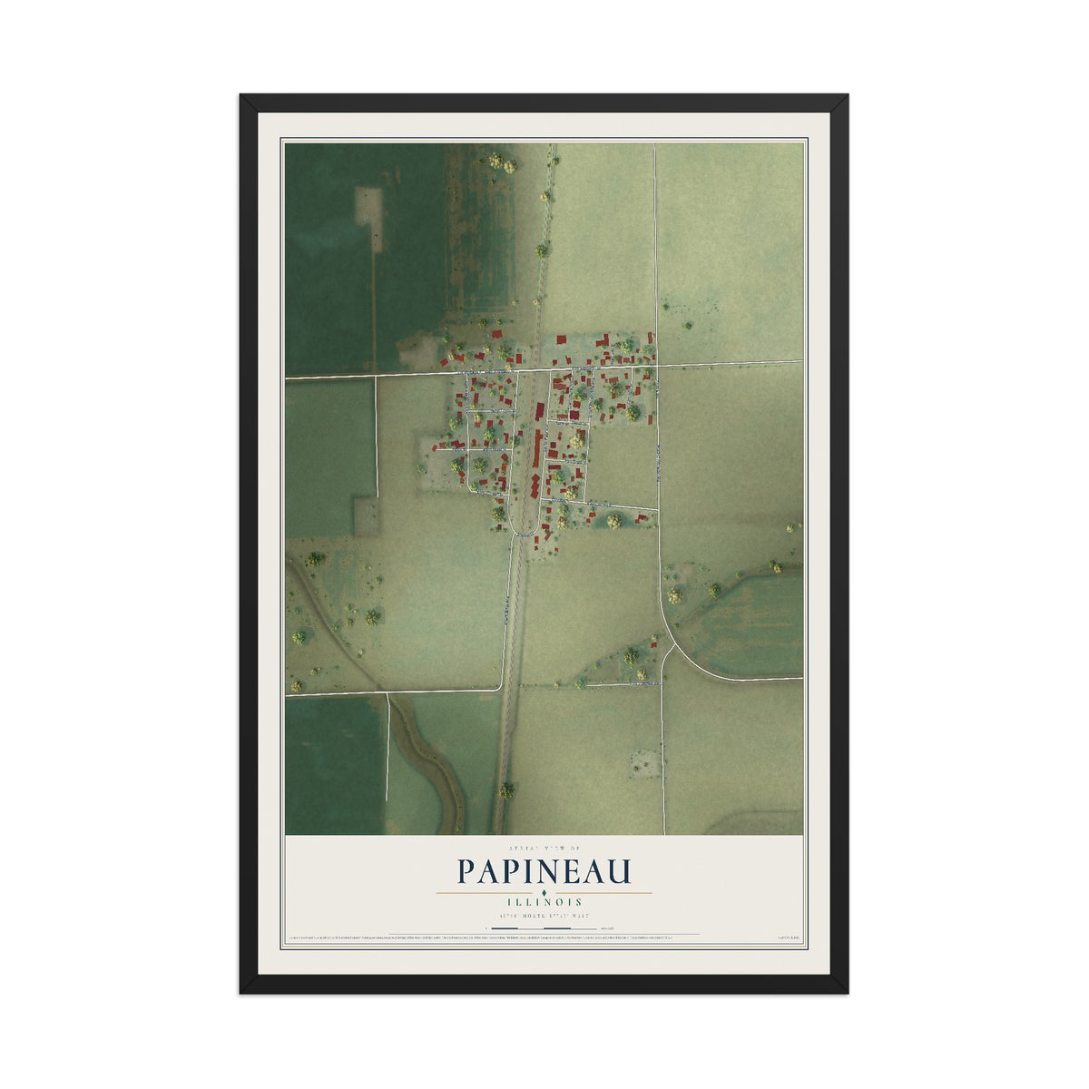 Map of Papineau, Illinois, 12 x 18 inch print in a black wood frame