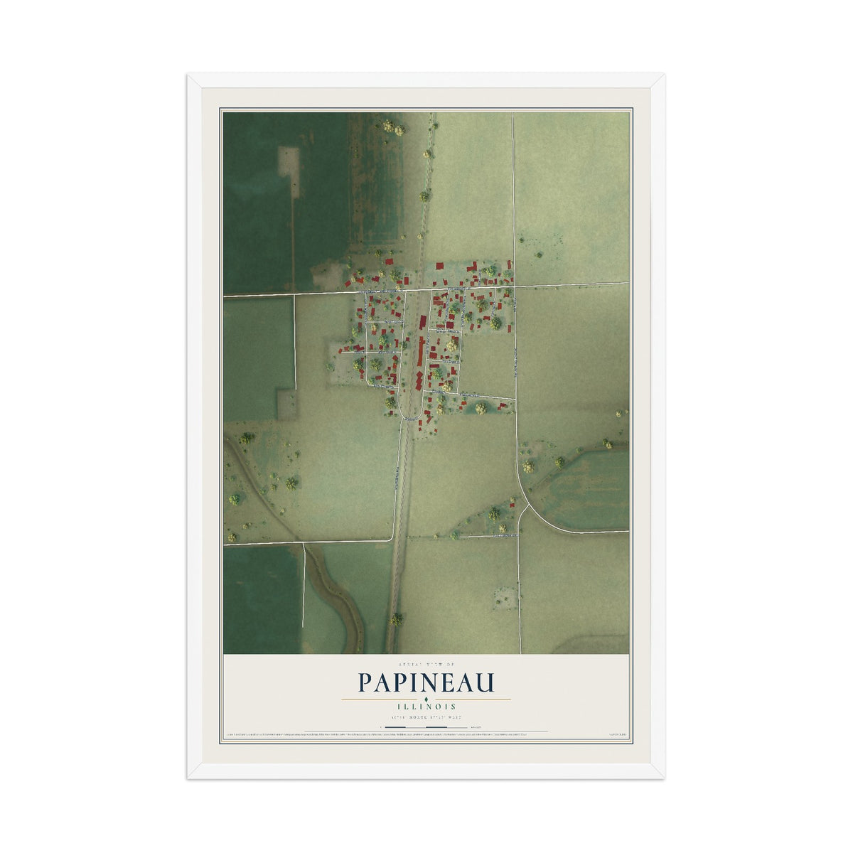 Map of Papineau, Illinois, 12 x 18 inch print in a white wood frame