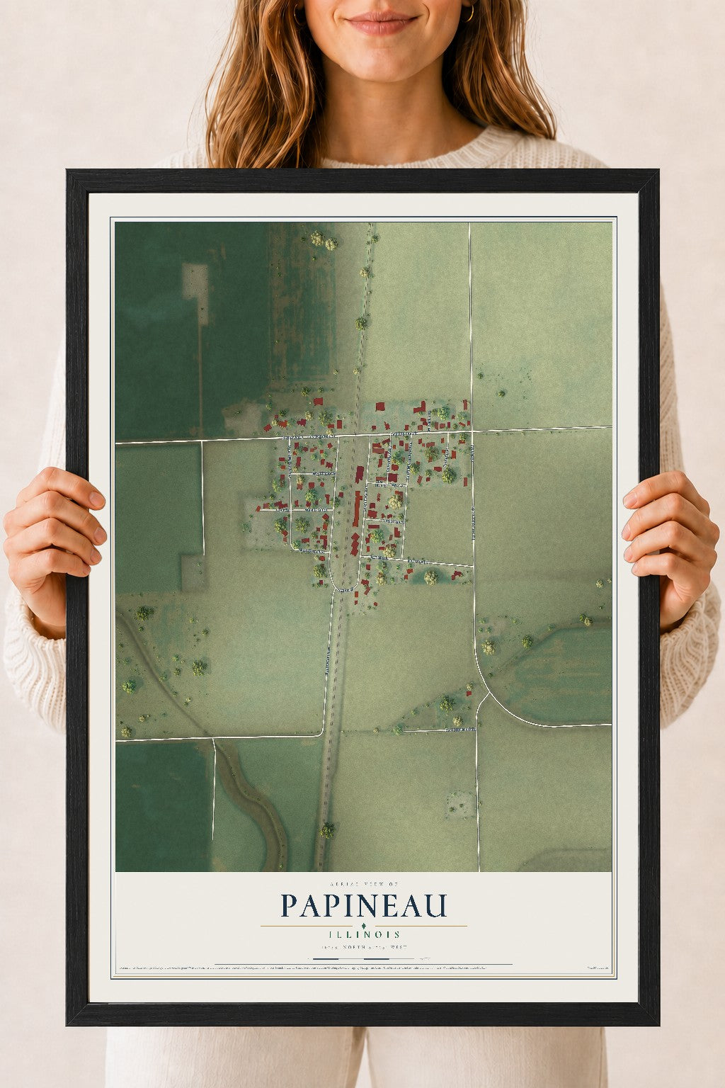 Map of Papineau, Illinois, 18 x 24 inch print in a black wood frame