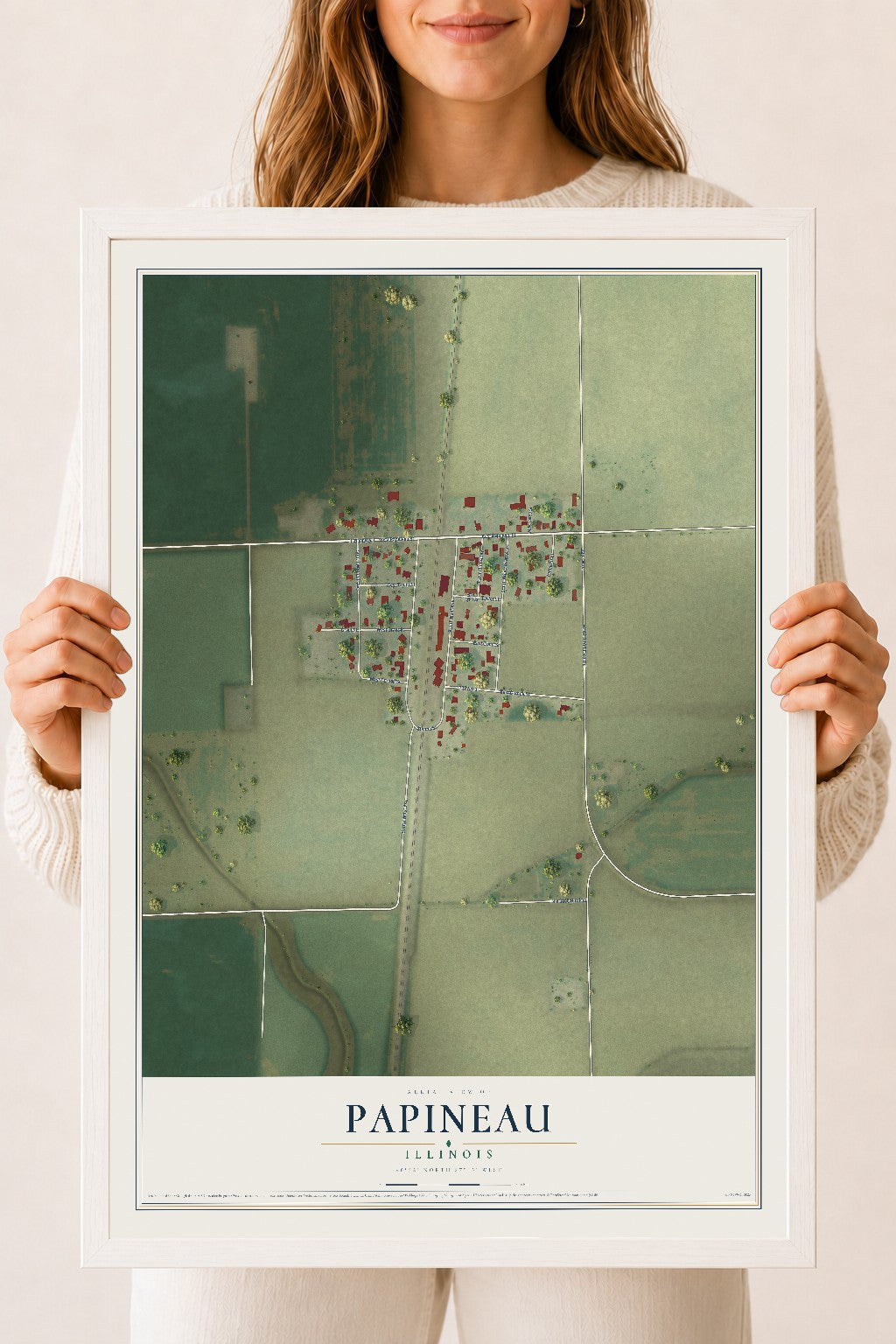 Map of Papineau, Illinois, 18 x 24 inch print in a white wood frame