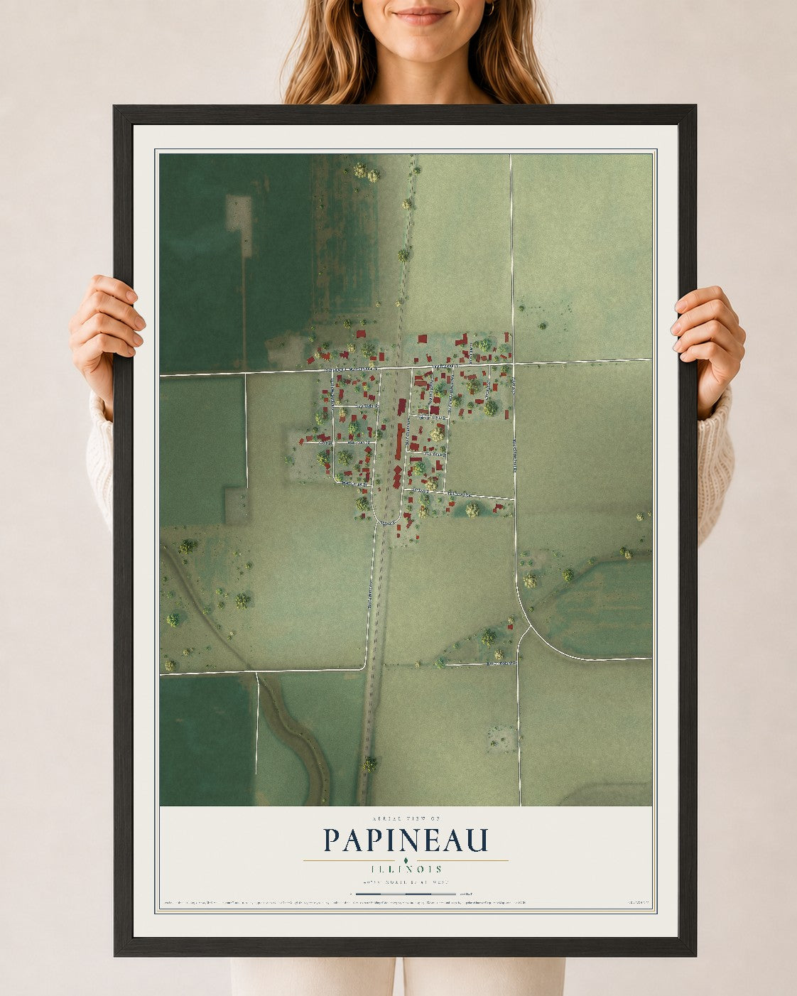 Map of Papineau, Illinois, 24 x 36 inch print in a black wood frame