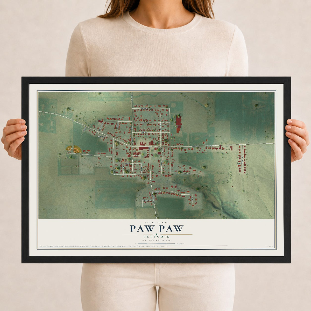 Map of Paw Paw, Illinois, 12 x 18 inch print in a black wood frame