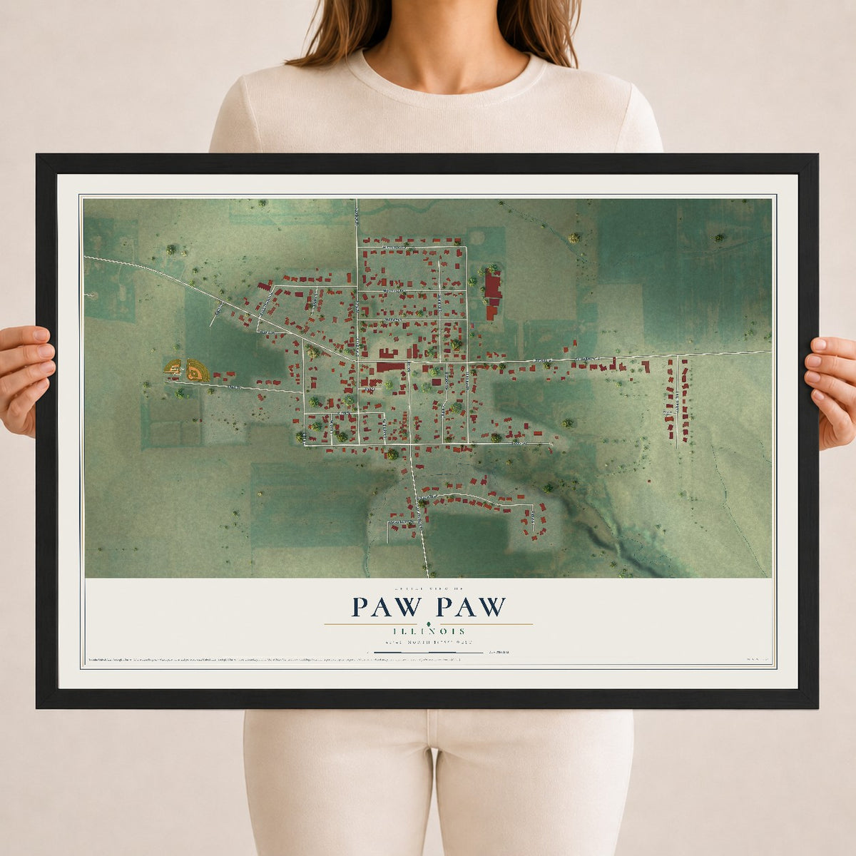 Map of Paw Paw, Illinois, 18 x 24 inch print in a black wood frame