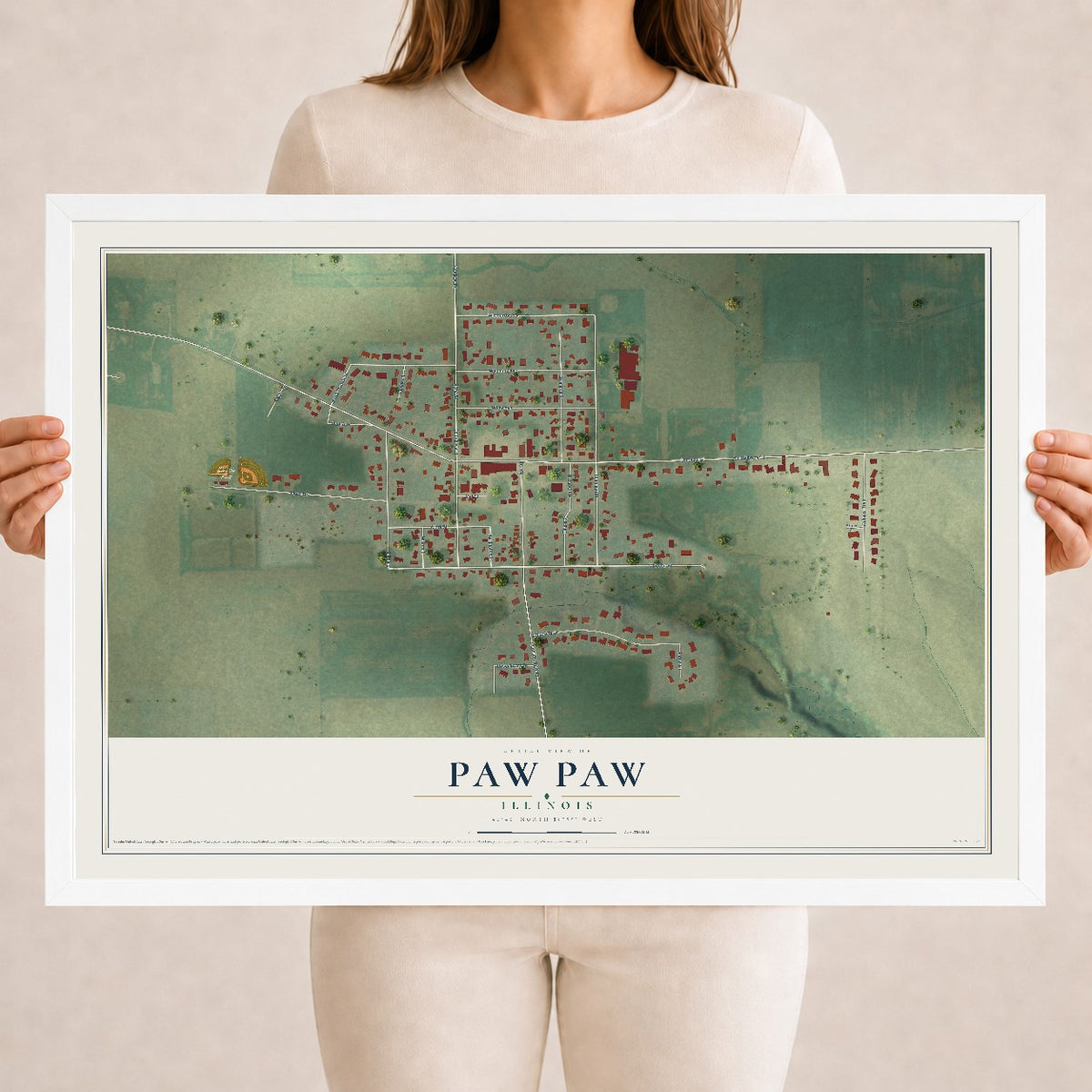 Map of Paw Paw, Illinois, 18 x 24 inch print in a white wood frame