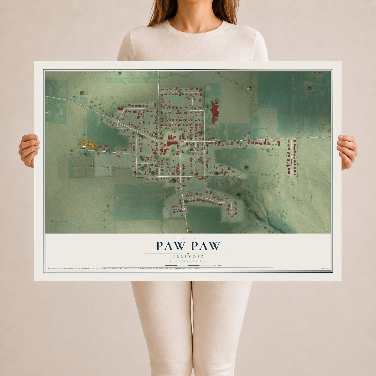 Map of Paw Paw, Illinois, 24 x 36 inch unframed archival matte print