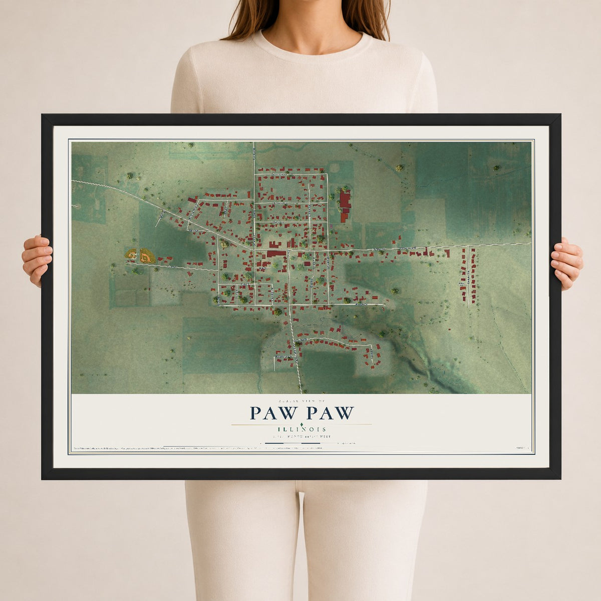 Map of Paw Paw, Illinois, 24 x 36 inch print in a black wood frame