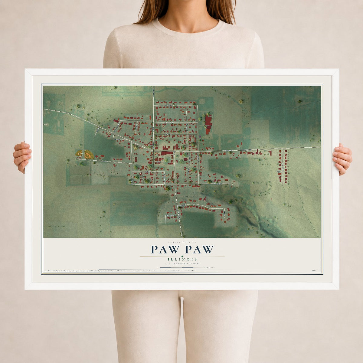 Map of Paw Paw, Illinois, 24 x 36 inch print in a white wood frame