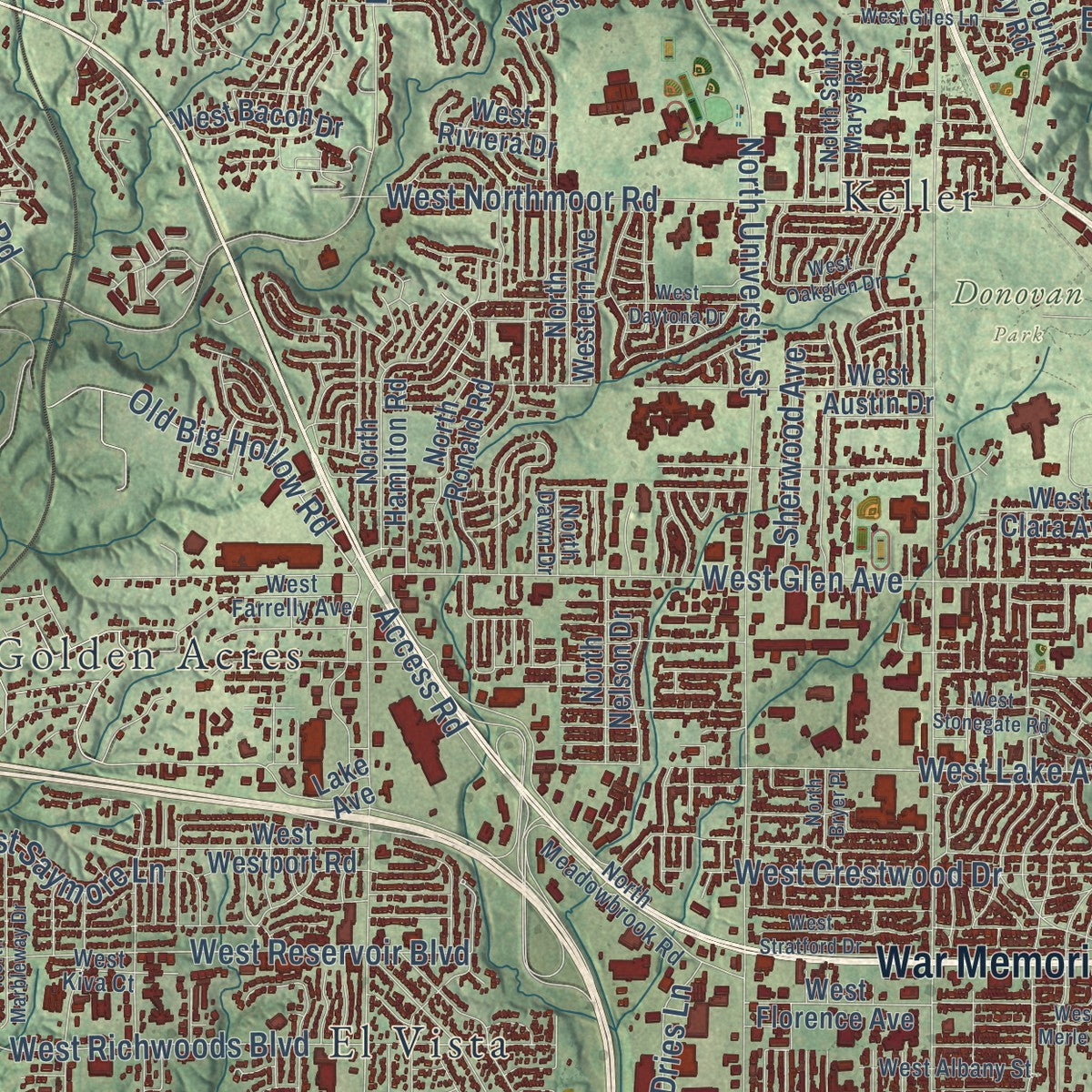Close-up of the map of Peoria, Illinois print showing street and building detail