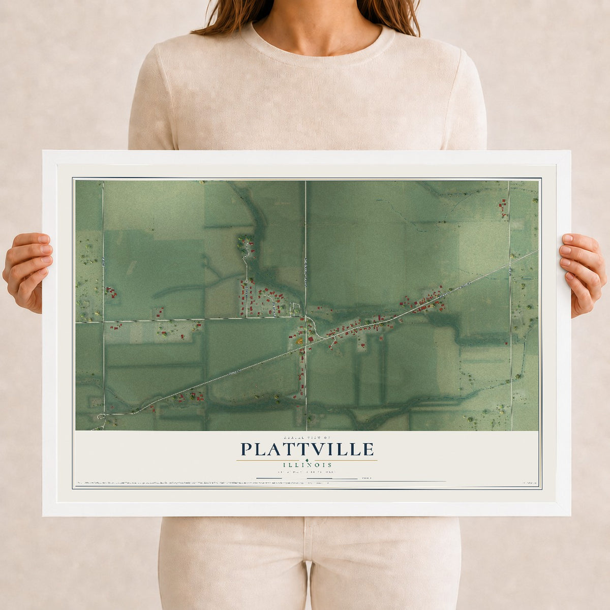 Map of Plattville, Illinois, 12 x 18 inch print in a white wood frame