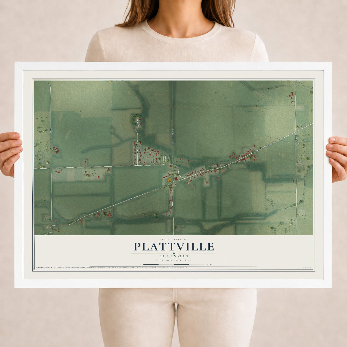 Map of Plattville, Illinois, 18 x 24 inch print in a white wood frame