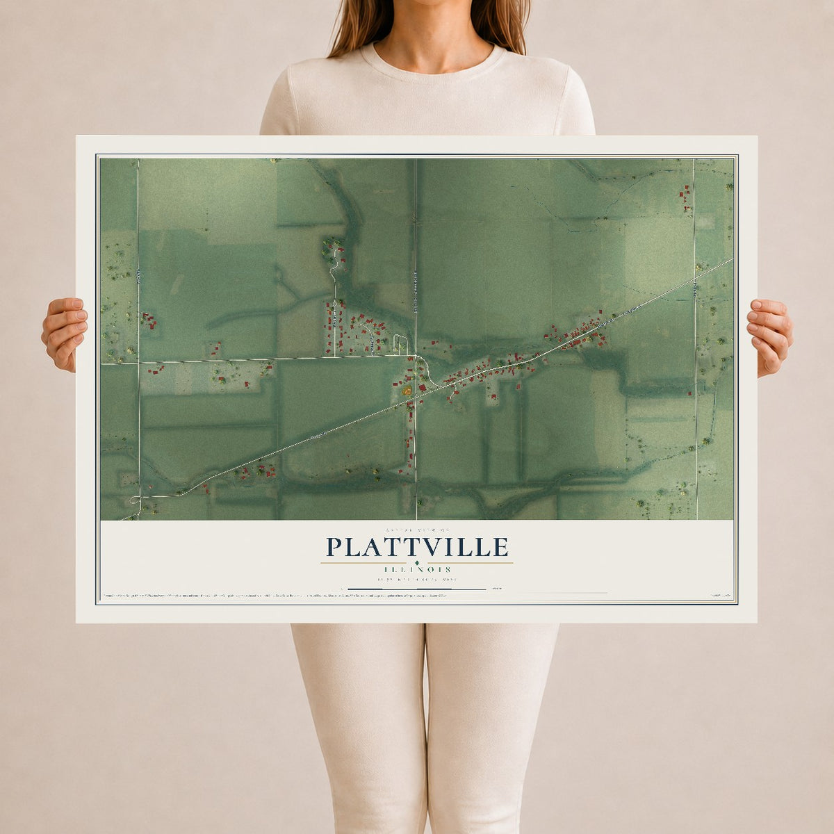 Map of Plattville, Illinois, 24 x 36 inch unframed archival matte print