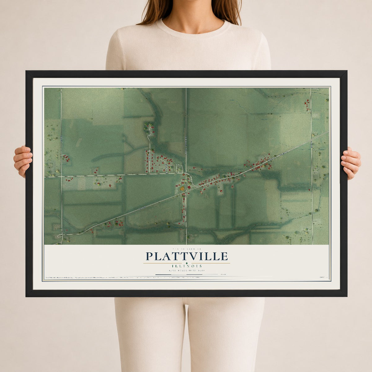 Map of Plattville, Illinois, 24 x 36 inch print in a black wood frame