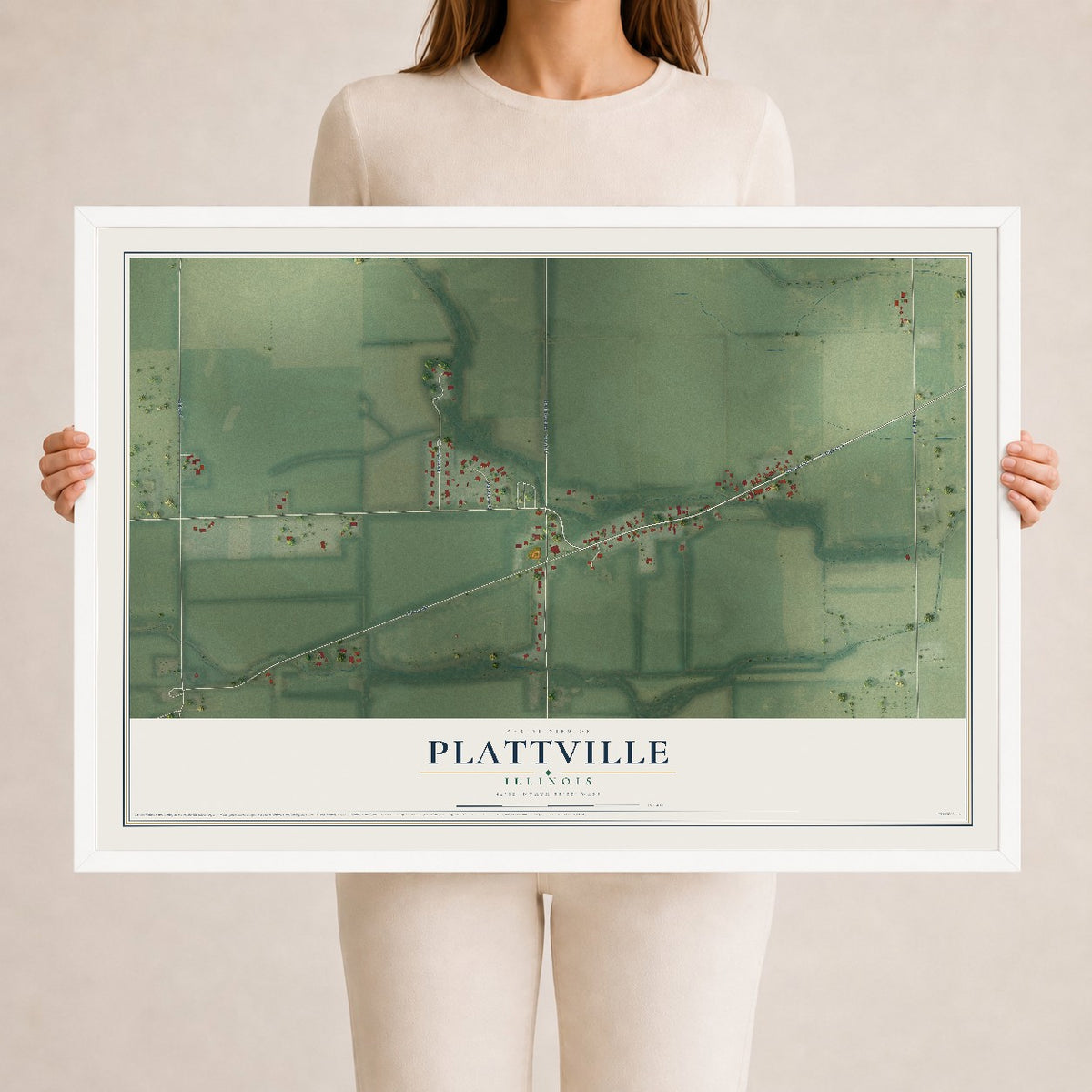 Map of Plattville, Illinois, 24 x 36 inch print in a white wood frame