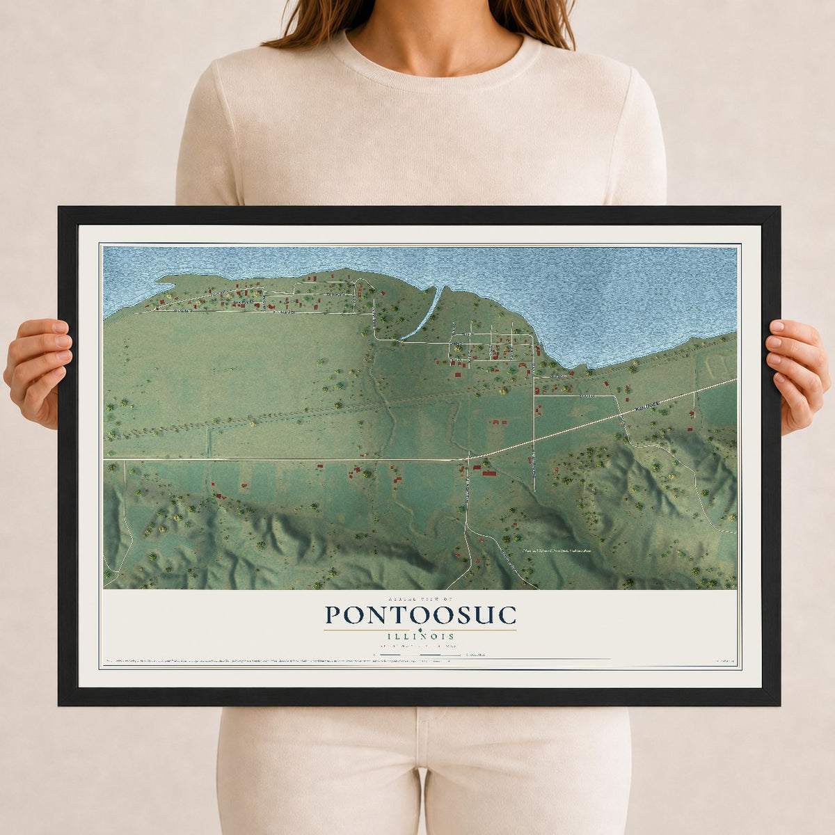 Map of Pontoosuc, Illinois, 12 x 18 inch print in a black wood frame