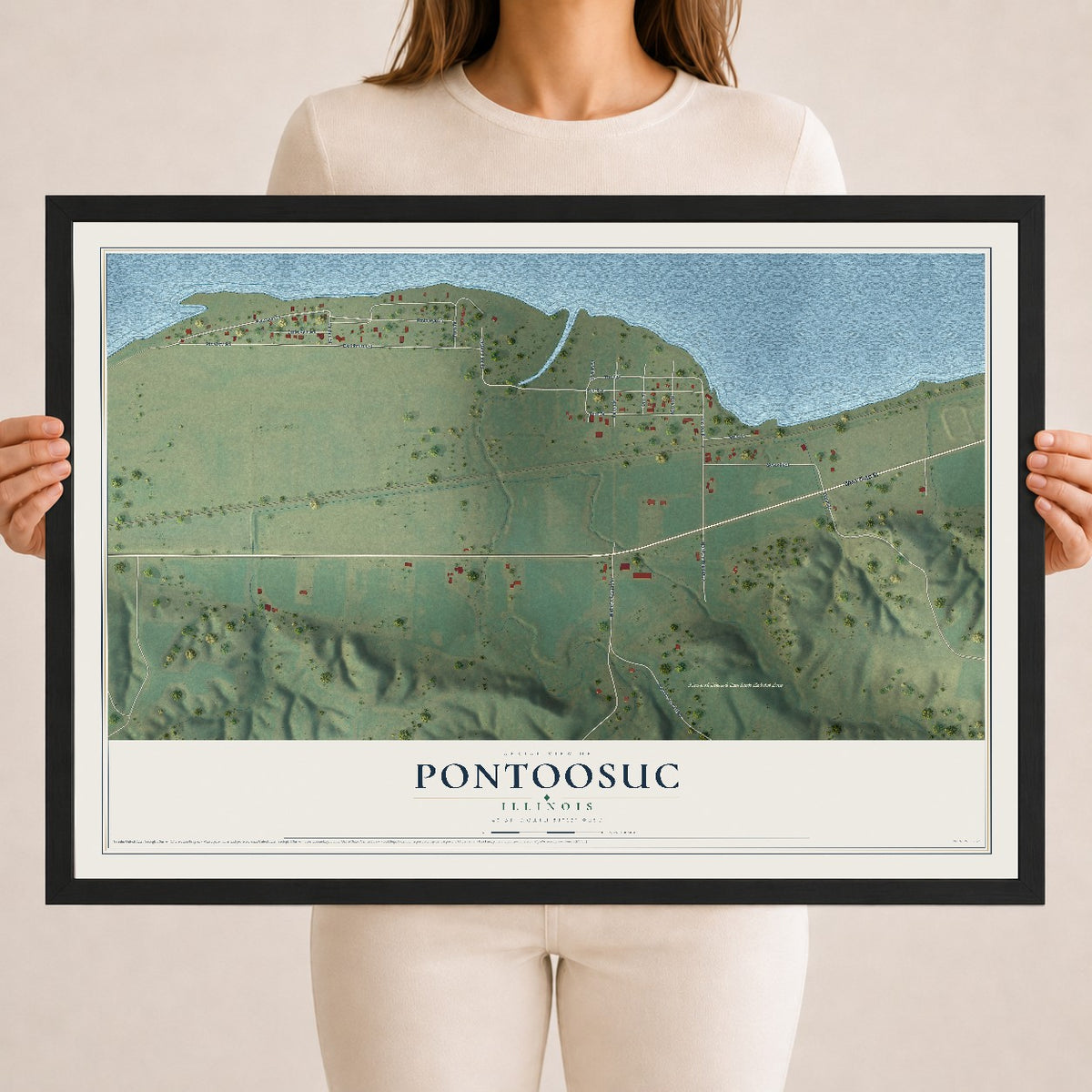 Map of Pontoosuc, Illinois, 18 x 24 inch print in a black wood frame