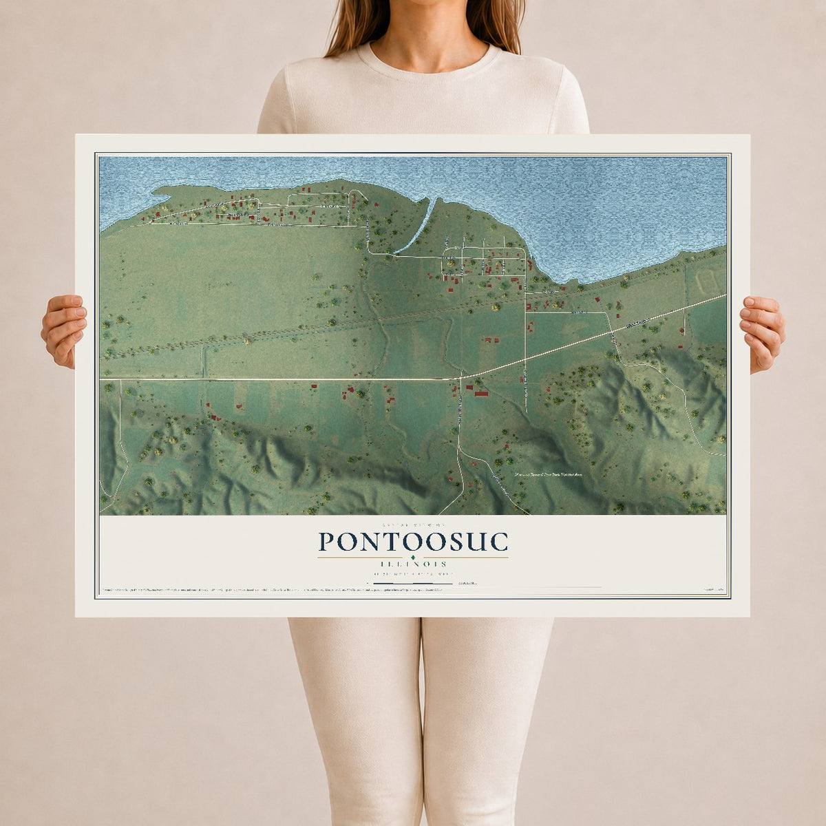 Map of Pontoosuc, Illinois, 24 x 36 inch unframed archival matte print