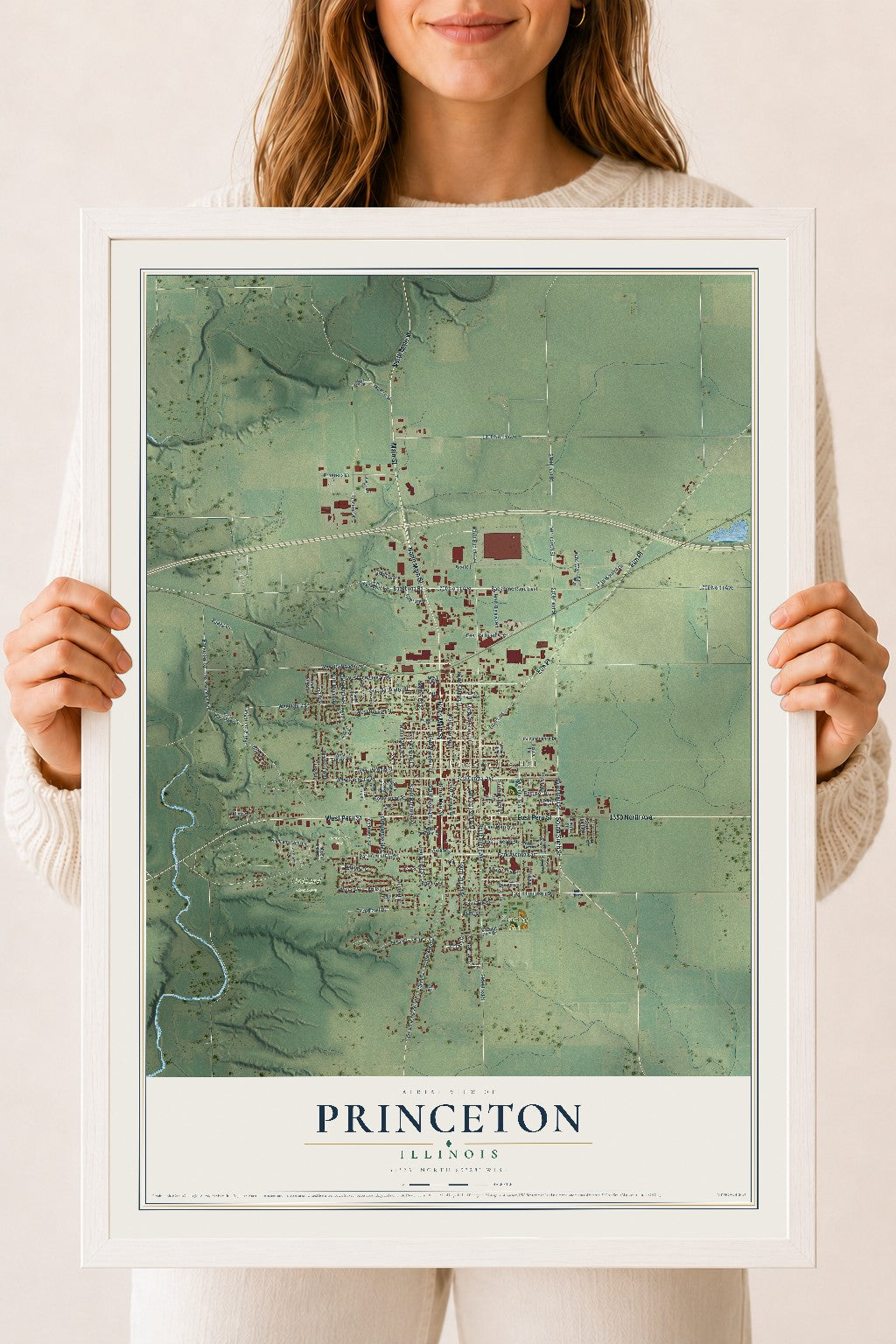 Map of Princeton, Illinois, 18 x 24 inch print in a white wood frame