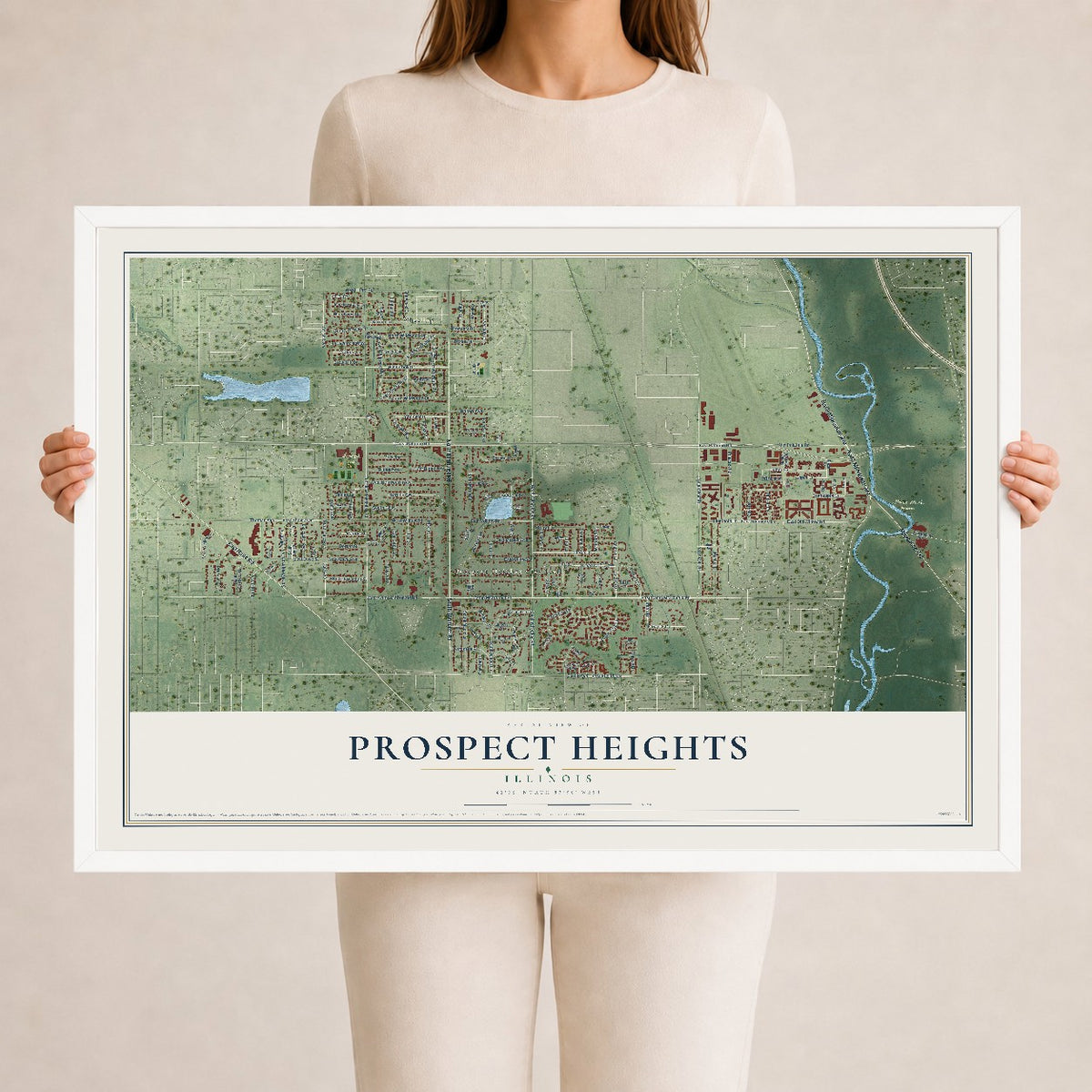 Map of Prospect Heights, Illinois, 24 x 36 inch print in a white wood frame