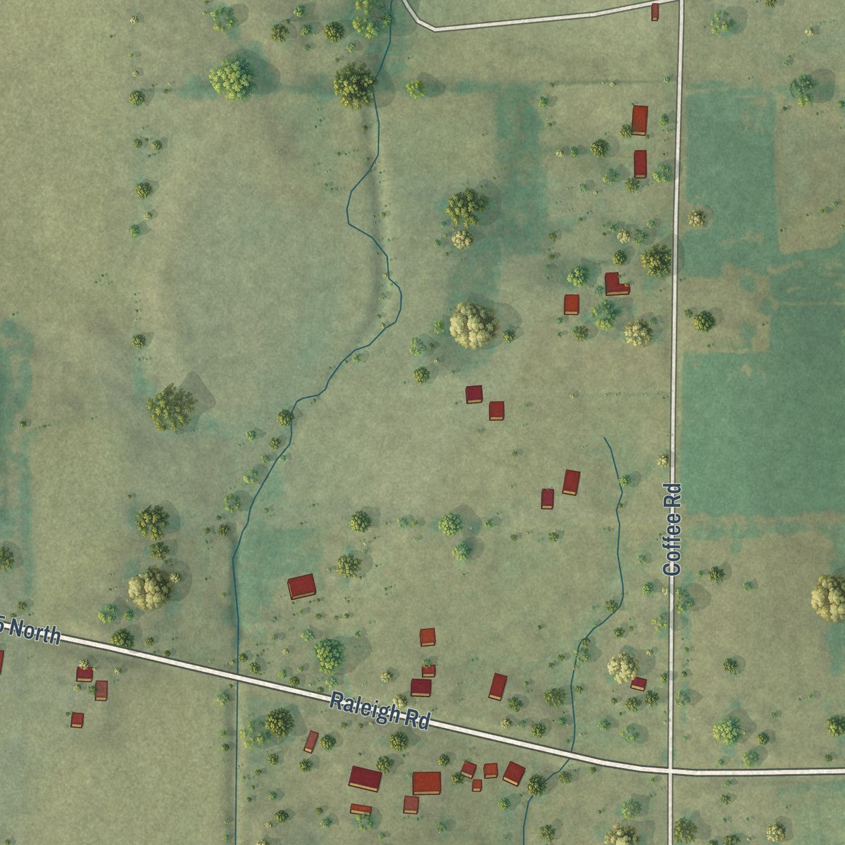 Second close-up of the map of Raleigh, Illinois print showing more streets and buildings