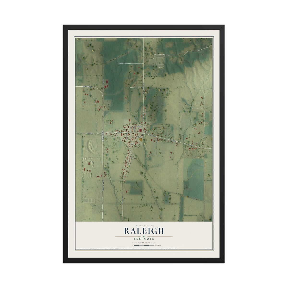 Map of Raleigh, Illinois, 12 x 18 inch print in a black wood frame