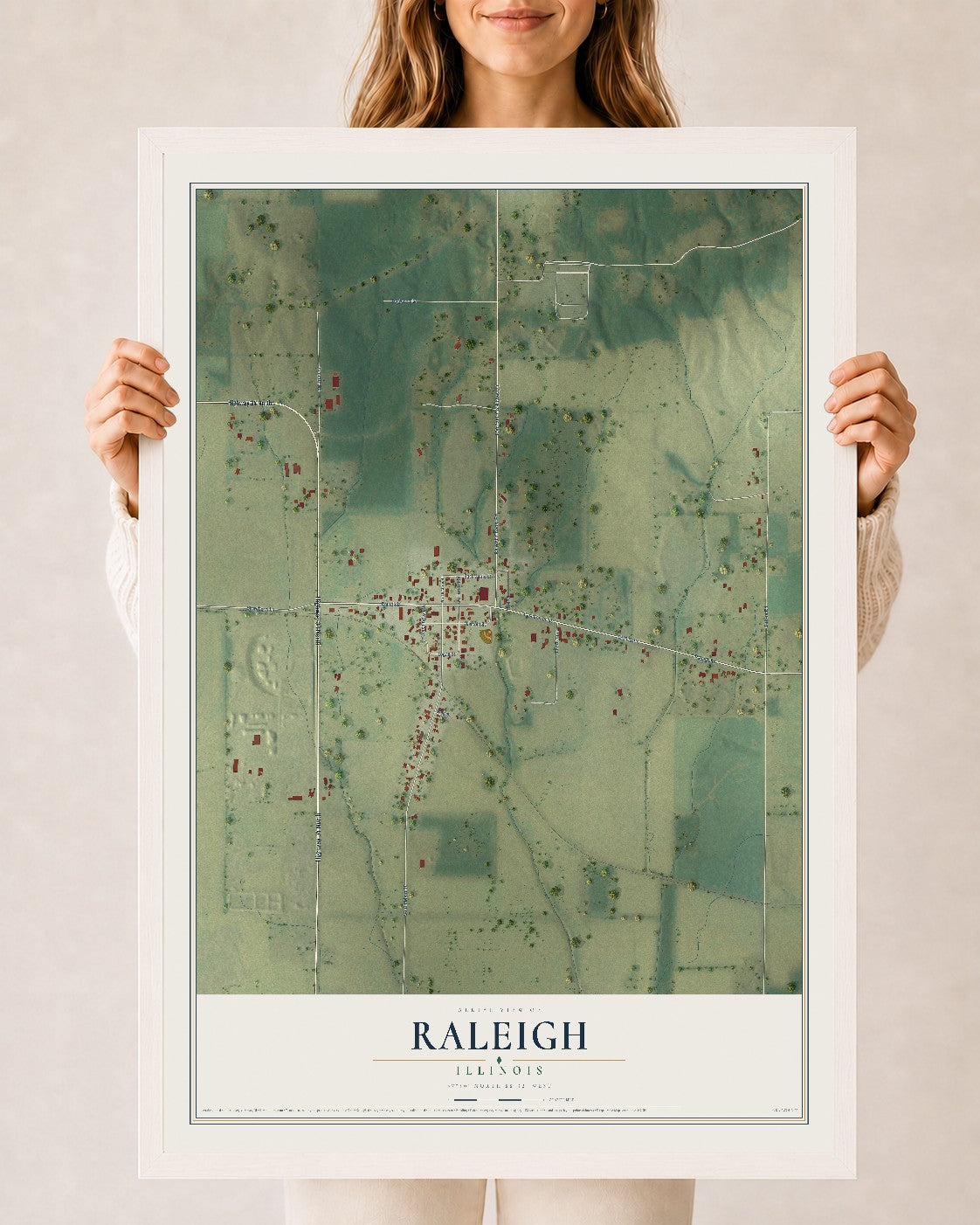 Map of Raleigh, Illinois, 24 x 36 inch print in a white wood frame