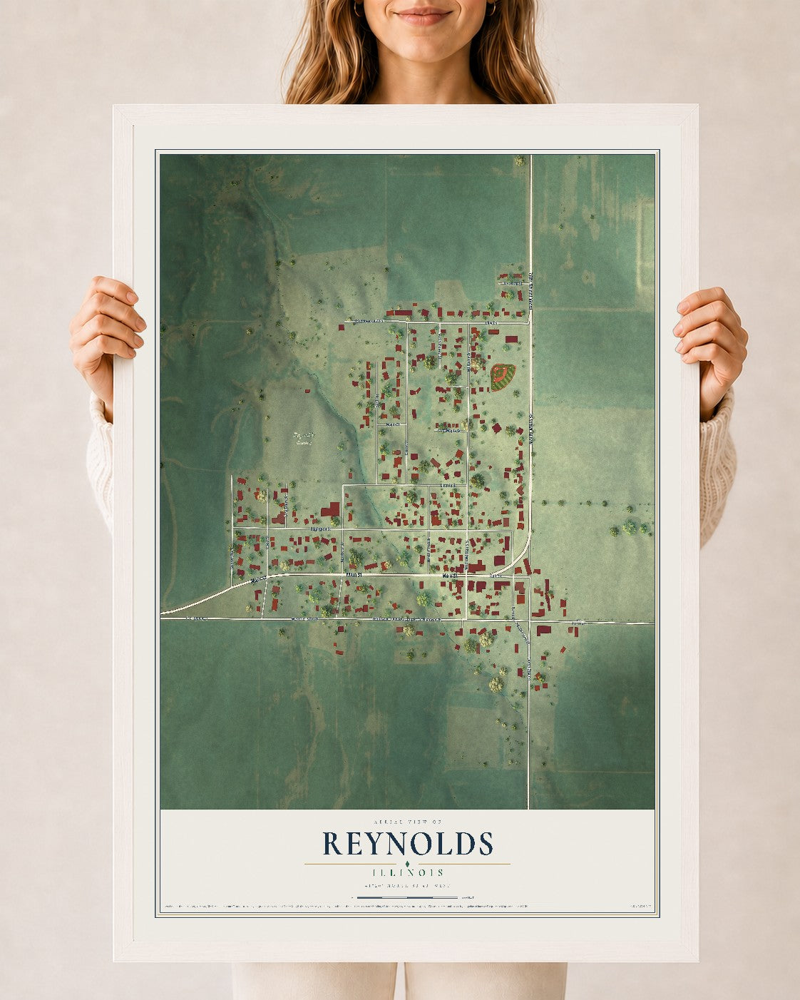 Map of Reynolds, Illinois, 24 x 36 inch print in a white wood frame