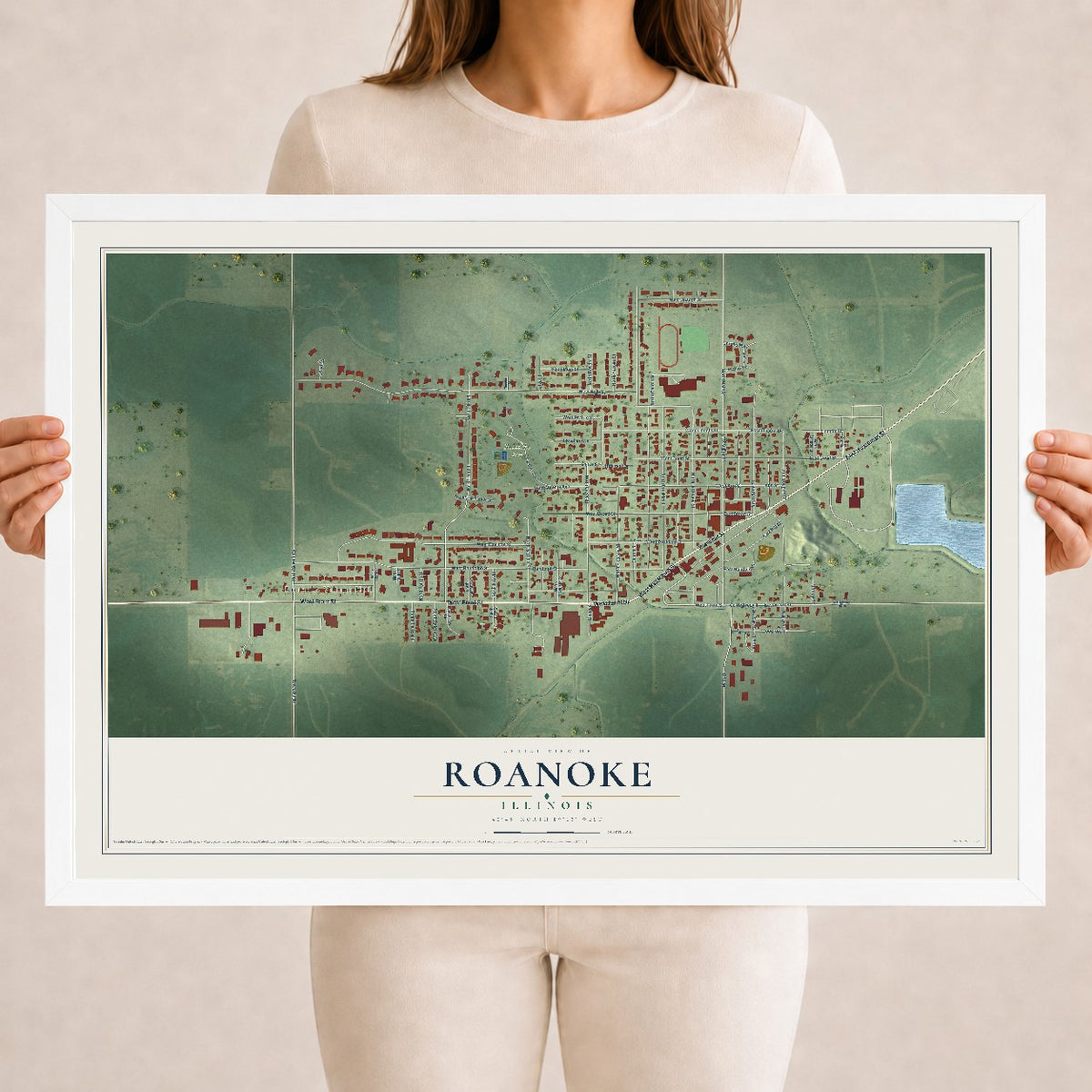 Map of Roanoke, Illinois, 18 x 24 inch print in a white wood frame