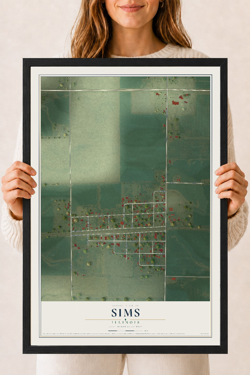 Map of Sims, Illinois, 18 x 24 inch print in a black wood frame