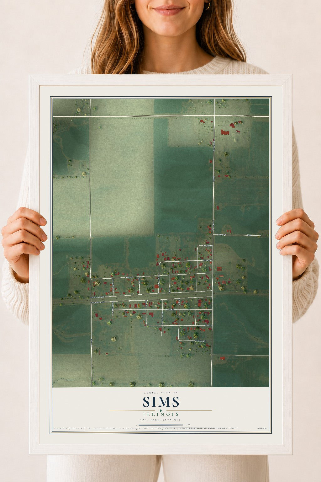 Map of Sims, Illinois, 18 x 24 inch print in a white wood frame