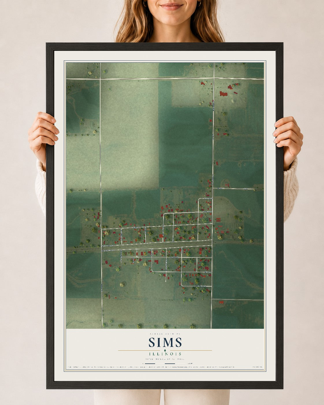 Map of Sims, Illinois, 24 x 36 inch print in a black wood frame