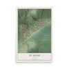 Map of St. David, Illinois, 12 x 18 inch unframed archival matte print